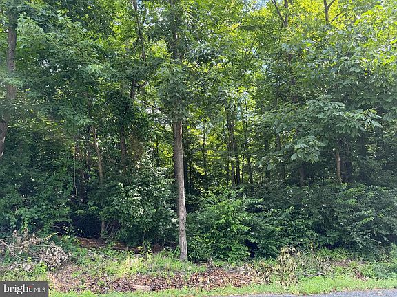 2nd image of TRACT 2 59/ Acres Circle Dr