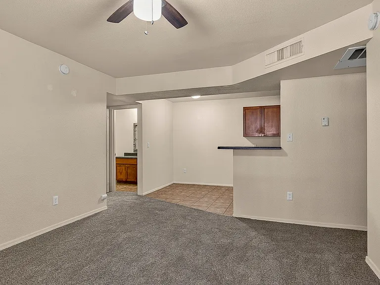 1385 W University Ave #11-186 — Photo 4
