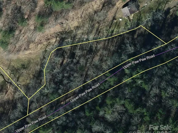 2504 Upper Paw Paw Rd, Marshall, NC 28753