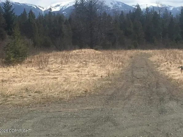LOT 1A2 Plat #2009-21, Gustavus, AK 99826