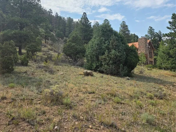 1139 Rio Grande Club Trail LOT 60, South Fork, CO 81154