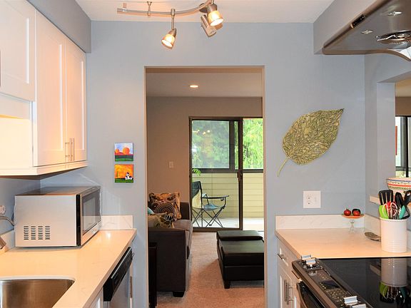 Large galley kitchen 