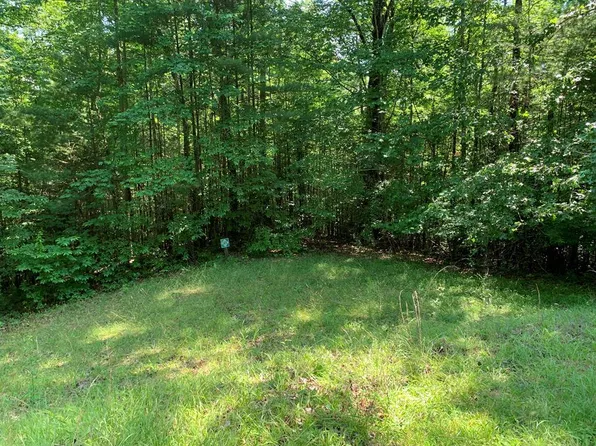 35 Maple St, East Ellijay, GA 30540