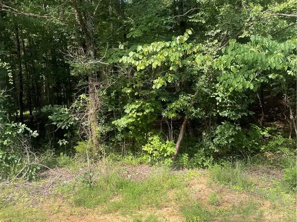 0 Heisman Dr, Northport, AL 35475