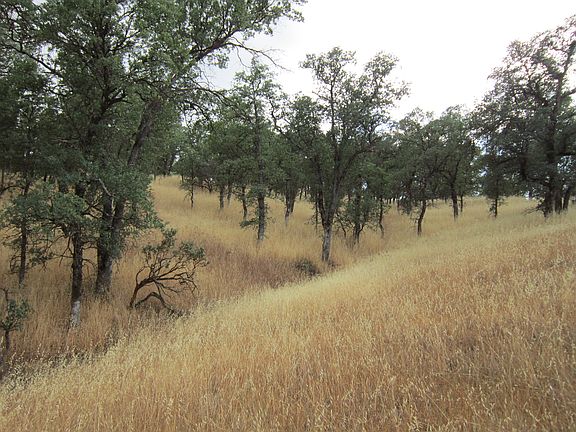 5th image of 000 Fair Oaks Road
