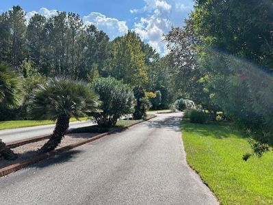 24 Greenwood Plantation Black Cypress Dr, Darien, GA, 31305