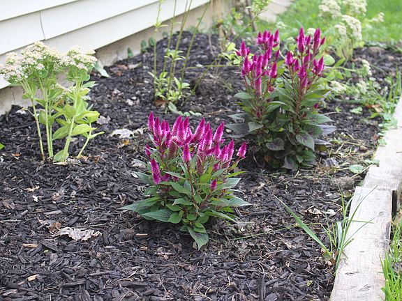 See this home for yourself!