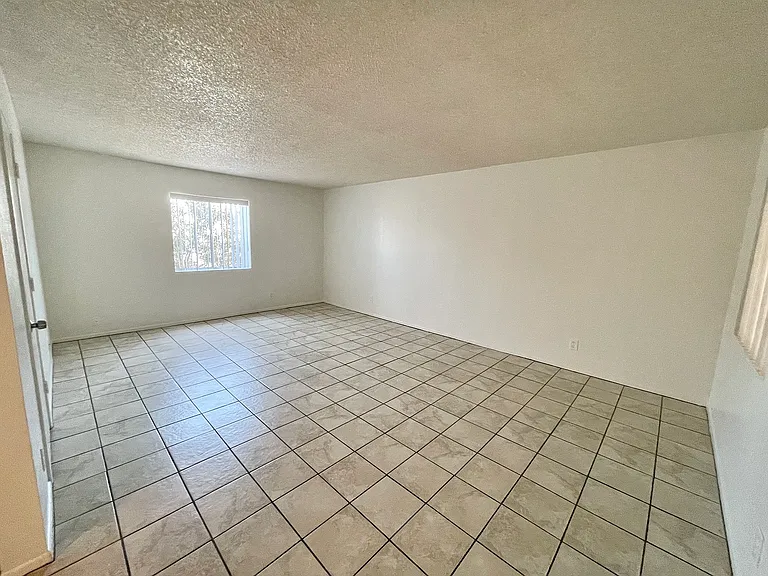 Pine Terrace — Photo 12