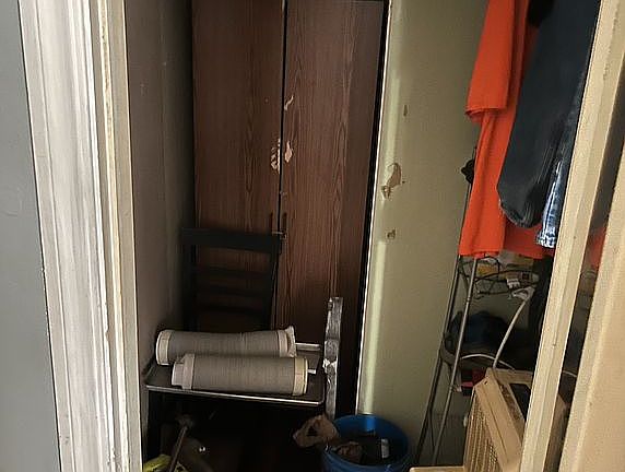 Storage Closet in Living Roo