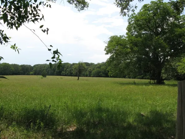 Vz County Road 1111, Grand Saline, TX 75140