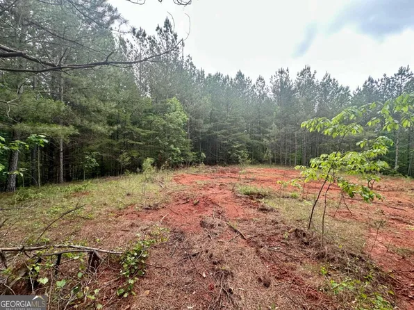 53-/ Patriot Trl, Dahlonega, GA 30533