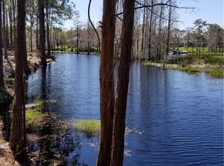 10418 Bronson Rd, Clermont, FL 34711