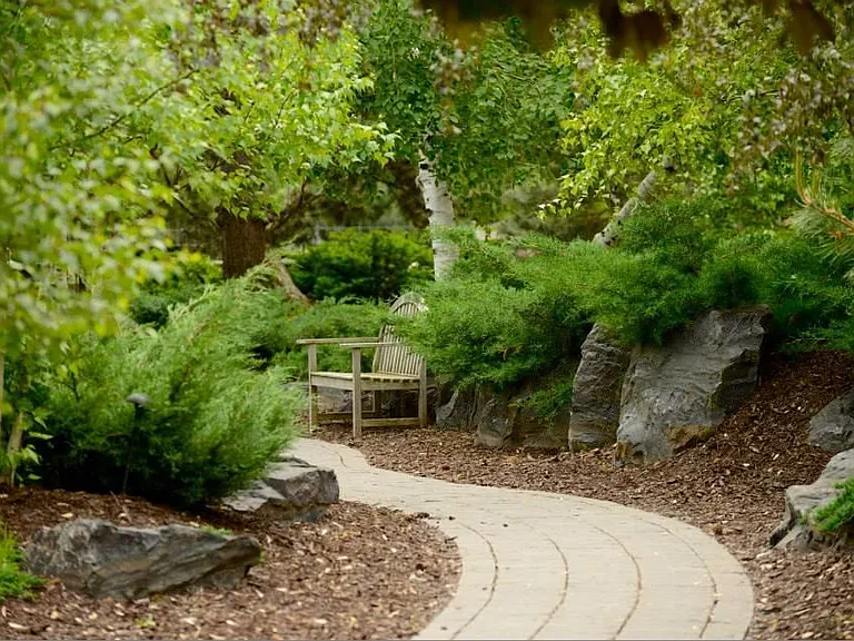 Luscious grounds at Cedars of Edina