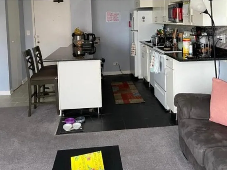 5455 N Sheridan Rd #809 — Photo 8