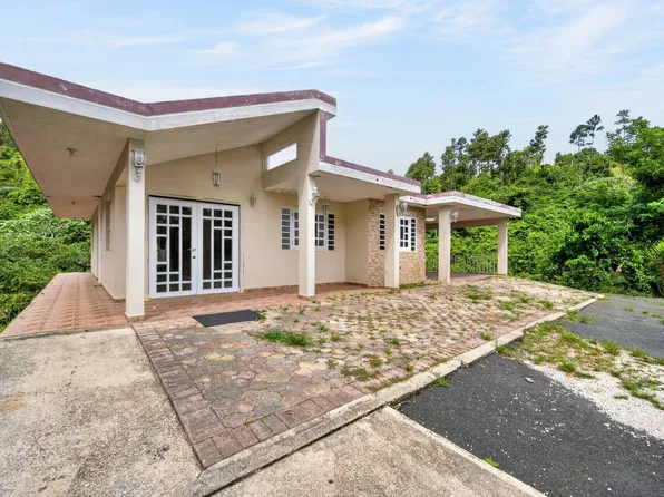 Carr 814 Km #Home 4, Naranjito, PR 00719