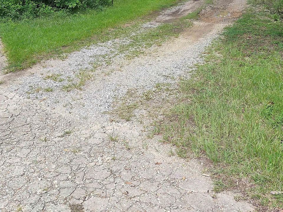 2nd image of Forest Dr