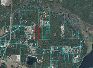TBD NE 247th Ln, Orange Springs, FL 32182