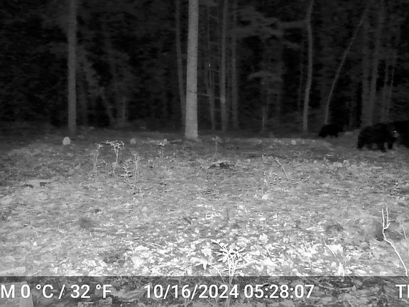 3rd image of 873 Burns Rd