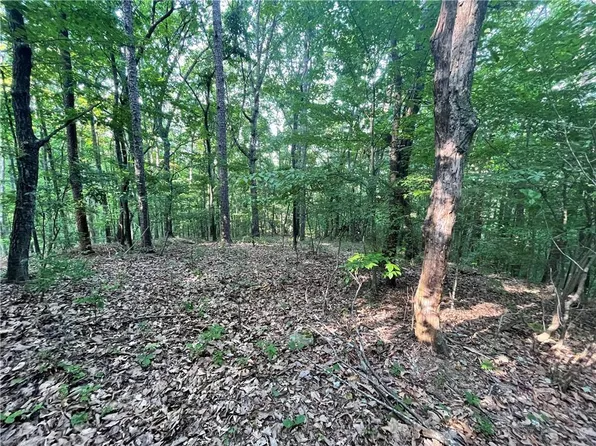 860 Cloudland Trce #156, Chickamauga, GA 30707
