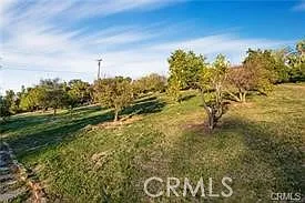 2440 Los Alisos Dr — Photo 16