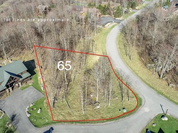 65 Camp Cir, Mc Henry, MD 21541