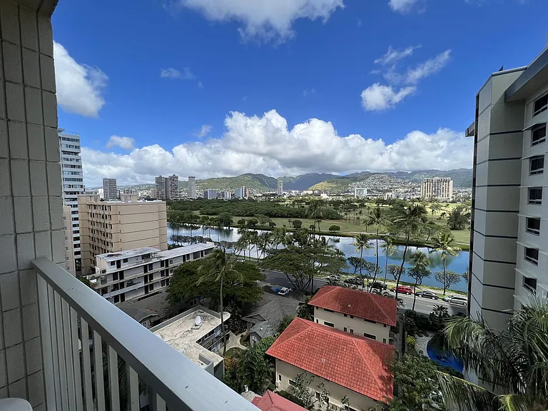 Window View