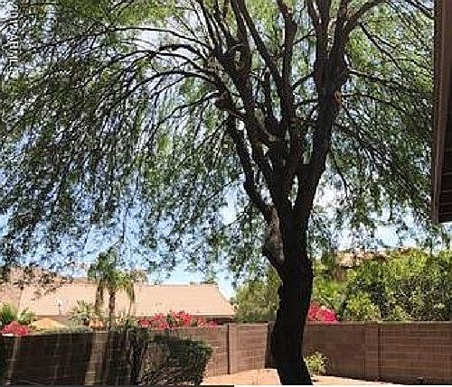 2nd image of 2416 E Windsong Dr