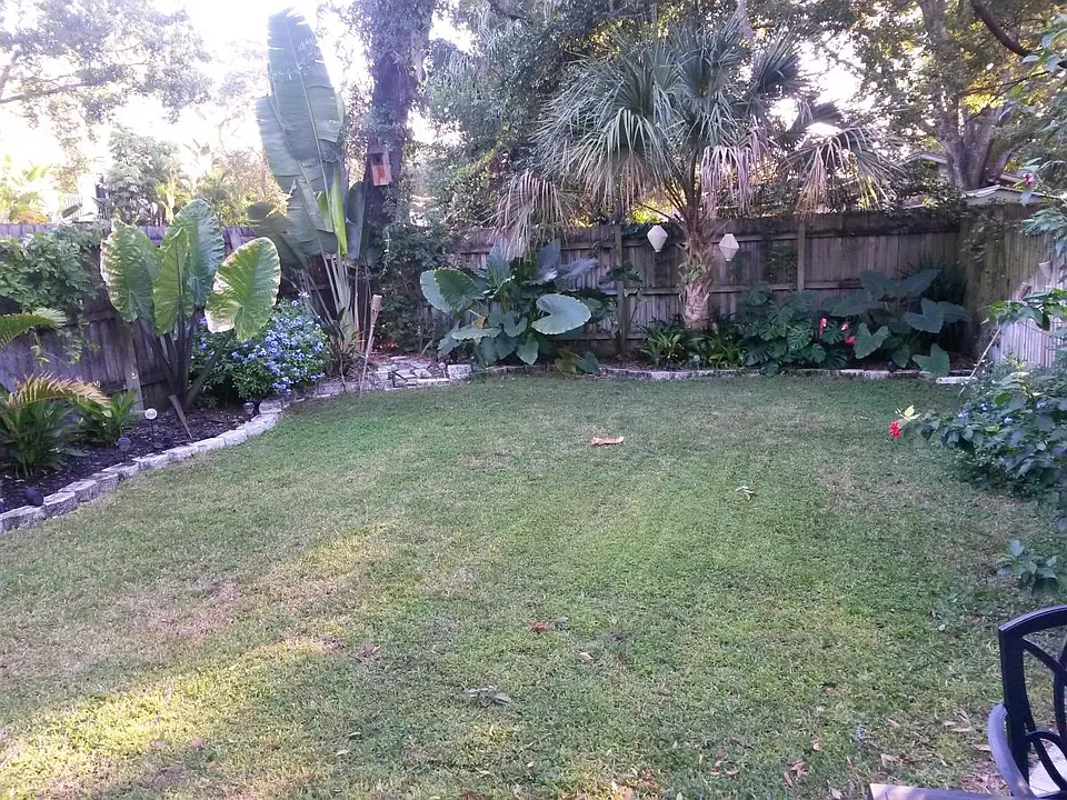 Lush Back Yard