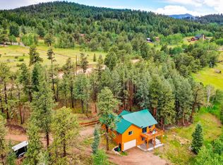 465 Bluebird Lane, Bailey, CO 80421
