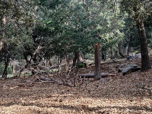 5th image of 0 Alder Creek Rd