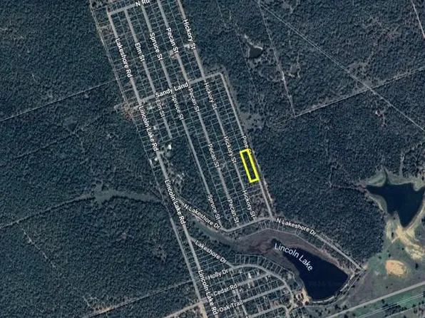 Pine St, Paige, TX 78659