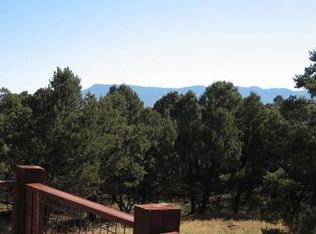 551 Pine Dr #1, Ridgway, CO 81432