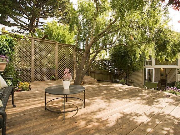 back yard