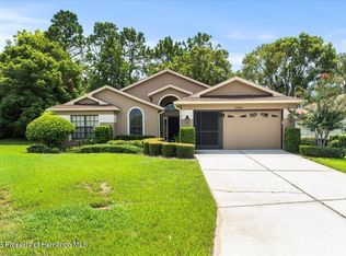 11424 Billingham Blvd, Spring Hill, FL 34609