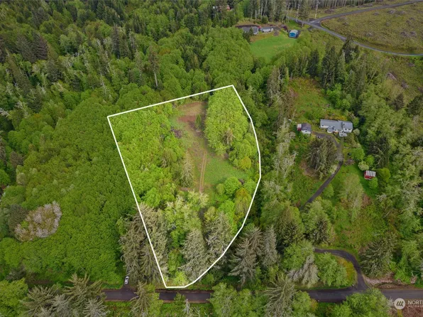 0 X Shahour Road, Raymond, WA 98577