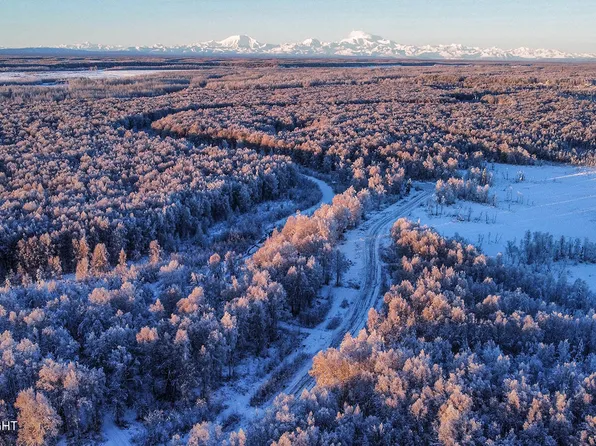 49246 S Hunter Dr, Willow, AK 99688