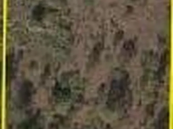 17975 NW 298 st, Okeechobee, FL 34972