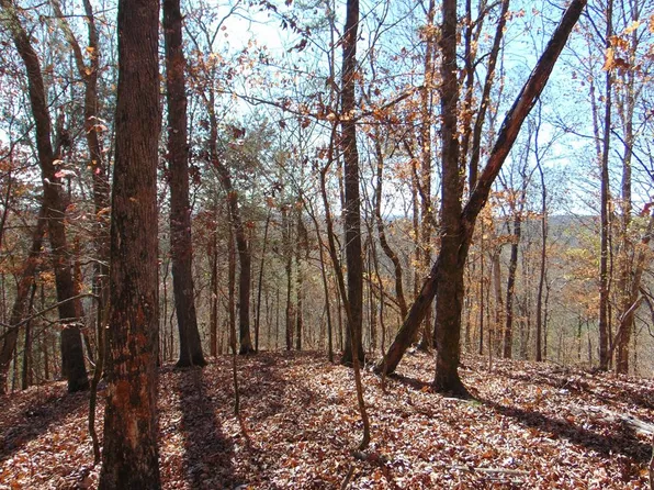 TRACT 43 Athens Rd, Calhoun, TN 37309