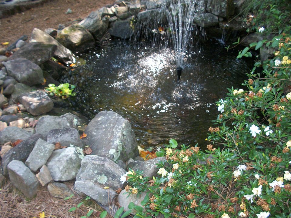 2nd image of 315 Virginia Gln