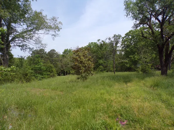 951 County Road 493-A, Mountain View, MO 65548