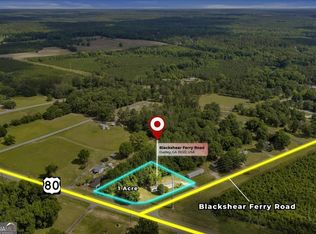 1295 Blackshear Ferry Rd, Dudley, GA 31022