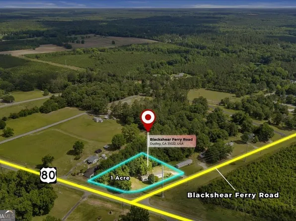 1295 Blackshear Ferry Rd, Dudley, GA 31022