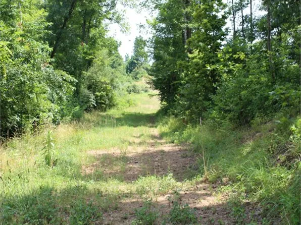 N Fork Rd, Pine Grove, WV 26419