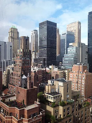 Rented by Stribling | media 8