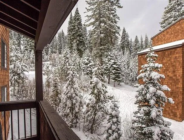 2 bed, 1100 sqft, $3,000 — Photo 3