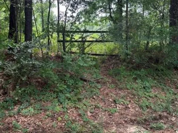 1120 Honeysuckle Ln Lot 2, Ball, LA 71405