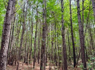 W Old Number Hwy #4, Olanta, SC 29114