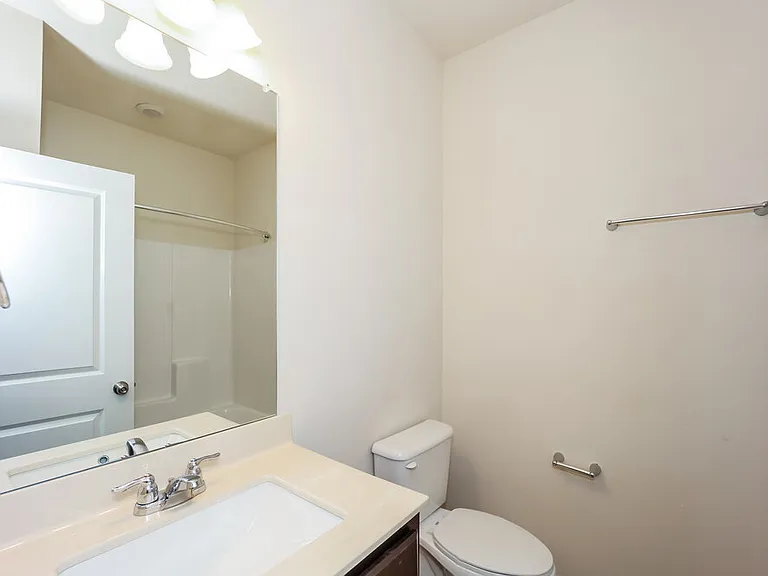 380 Hamilton Pointe Dr — Photo 19