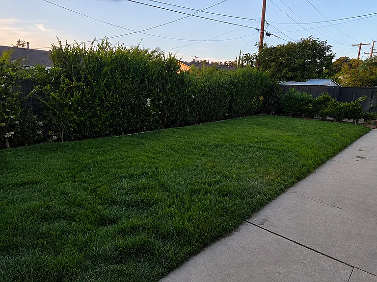 10051 Judy Ct — Photo 21