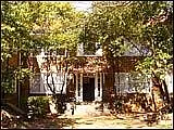 Sycamore — Photo 1